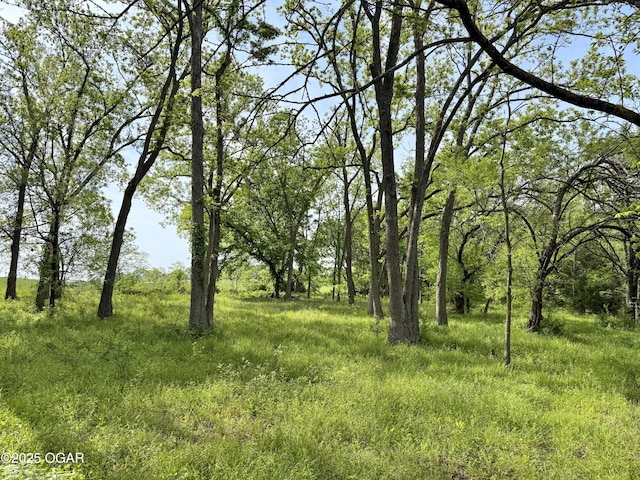 3200 E Grange Rd, Richards, MO 64778