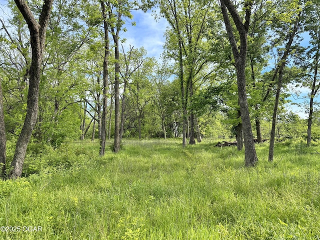 3200 E Grange Rd, Richards, MO 64778