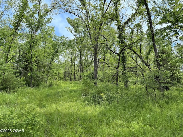 3200 E Grange Rd, Richards, MO 64778