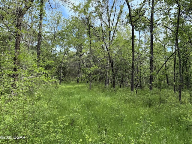 3200 E Grange Rd, Richards, MO 64778