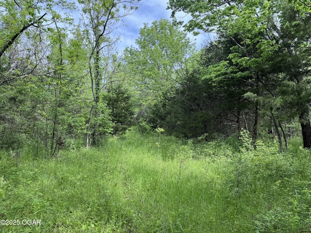 3200 E Grange Rd, Richards, MO 64778