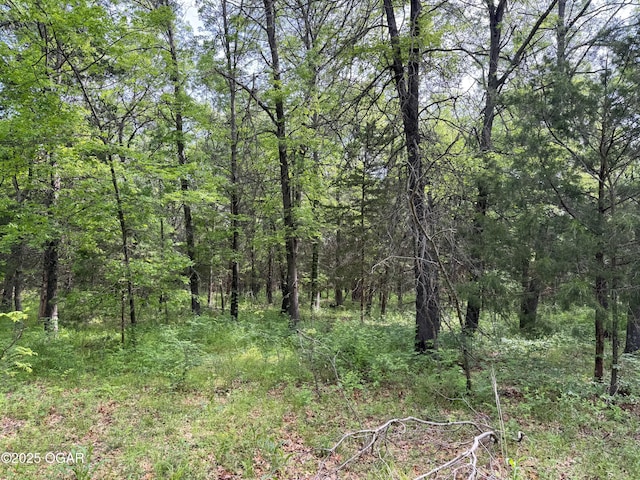 3200 E Grange Rd, Richards, MO 64778