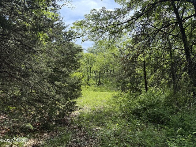 3200 E Grange Rd, Richards, MO 64778