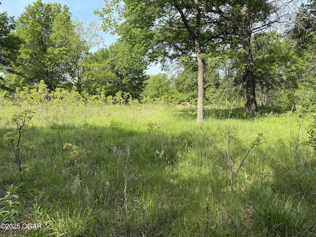 3200 E Grange Rd, Richards, MO 64778