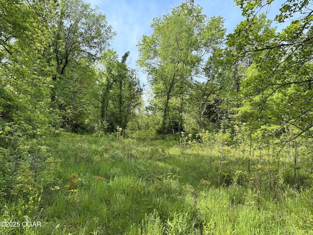 3200 E Grange Rd, Richards, MO 64778