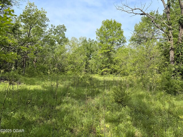 3200 E Grange Rd, Richards, MO 64778