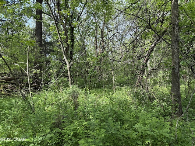 3200 E Grange Rd, Richards, MO 64778