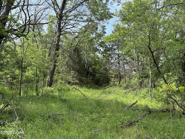 3200 E Grange Rd, Richards, MO 64778