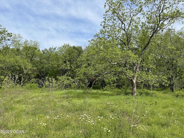 3200 E Grange Rd, Richards, MO 64778