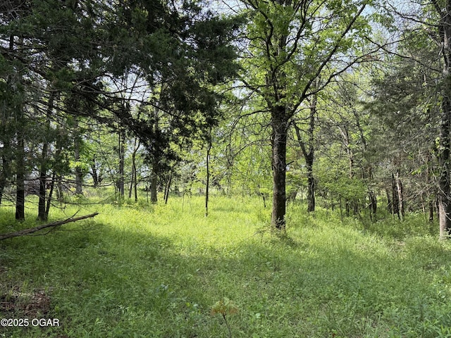 3200 E Grange Rd, Richards, MO 64778