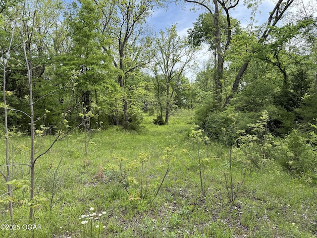 3200 E Grange Rd, Richards, MO 64778