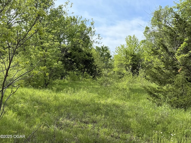 3200 E Grange Rd, Richards, MO 64778