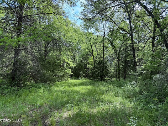 3200 E Grange Rd, Richards, MO 64778