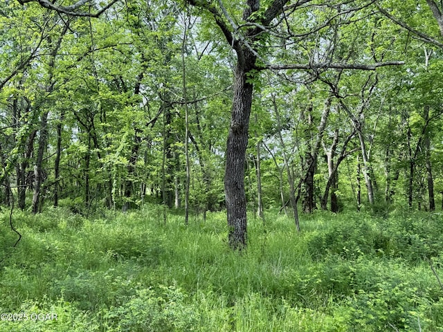 3200 E Grange Rd, Richards, MO 64778