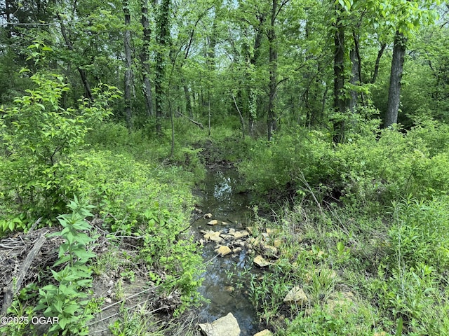 3200 E Grange Rd, Richards, MO 64778