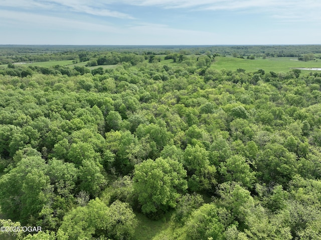 3200 E Grange Rd, Richards, MO 64778