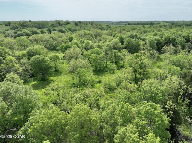 3200 E Grange Rd, Richards, MO 64778
