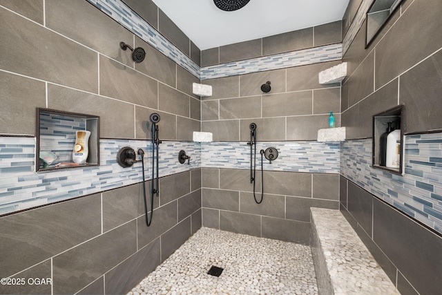 8740 County Road 241, Webb City, MO 64870 - bathroom featuring tiled shower and pet washing station