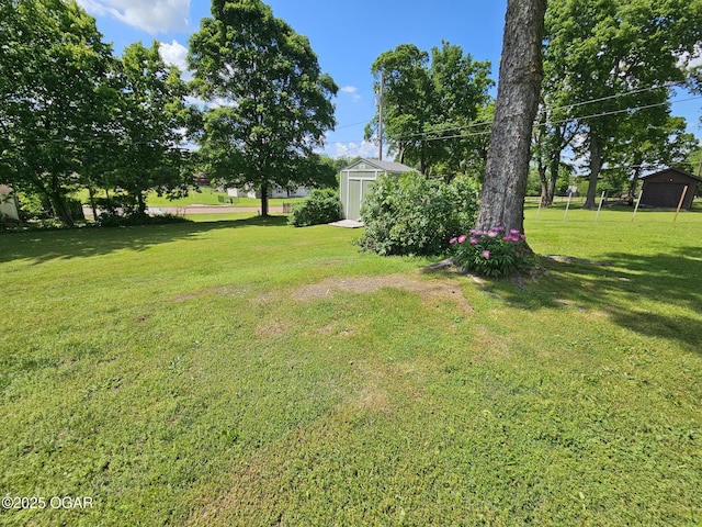 view of grassy yard with a storage shed and an outbuilding