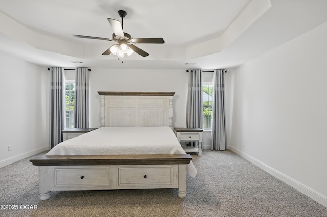 1020 S Florida Ave, Joplin, MO 64801 - bedroom featuring carpet floors, multiple windows, and baseboards