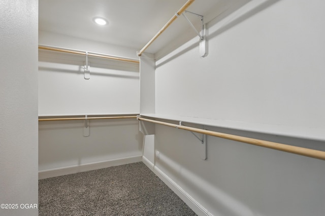 1020 S Florida Ave, Joplin, MO 64801 - walk in closet with carpet flooring