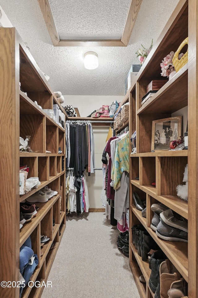 walk in closet featuring carpet