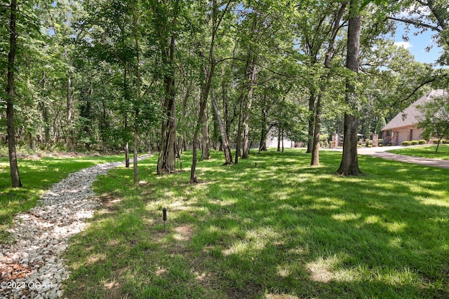 view of grassy yard featuring a garage