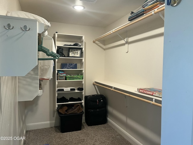 walk in closet featuring carpet floors