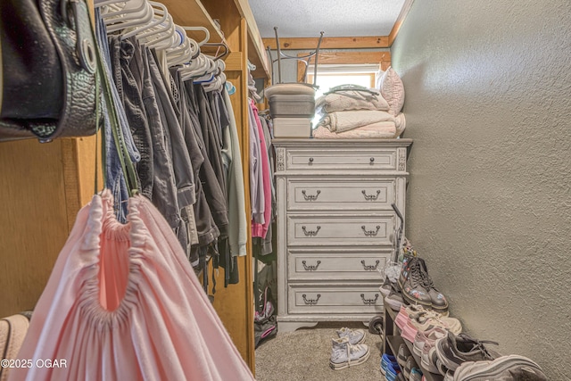 view of walk in closet