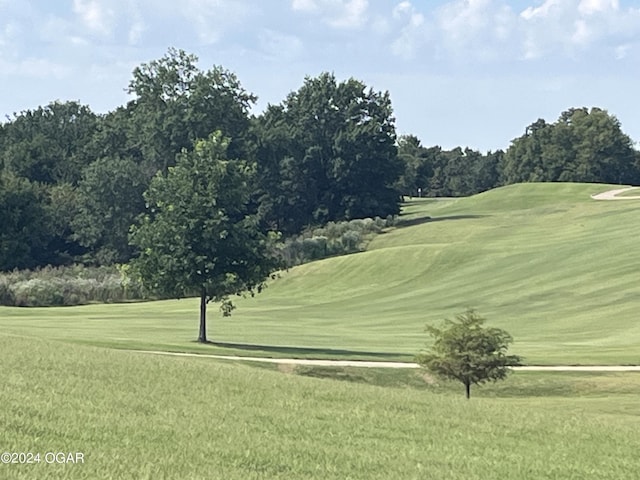 4 Sandstone Dr, Loma Linda, MO 64804