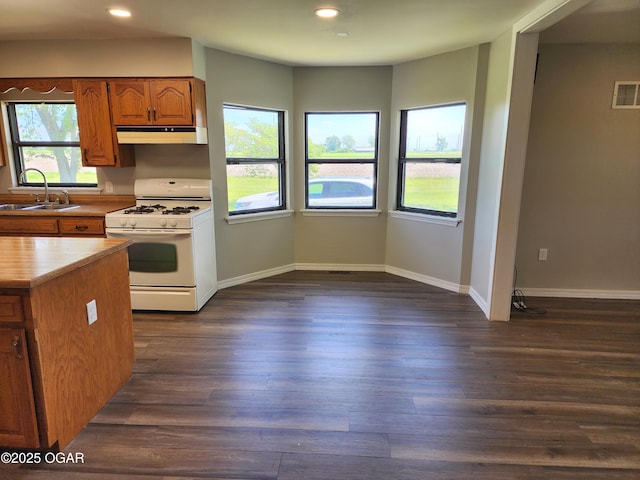 208 NW 10th Rd, Lamar, MO 64759 - kitchen featuring white range with gas stovetop, a sink, under cabinet range hood, recessed lighting, and light countertops