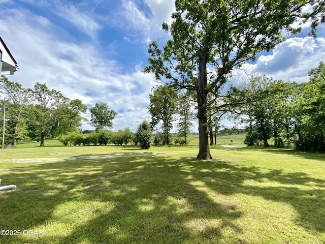 21522 Old Ritchey Rd, Granby, MO 64844 - view of grassy yard