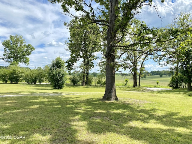 21522 Old Ritchey Rd, Granby, MO 64844 - view of green lawn