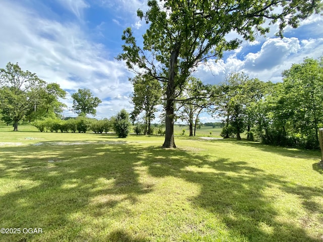 21522 Old Ritchey Rd, Granby, MO 64844 - view of grassy yard