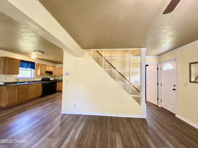 21522 Old Ritchey Rd, Granby, MO 64844 - unfurnished living room with a textured ceiling, dark wood-style flooring, baseboards, a ceiling fan, and a sink