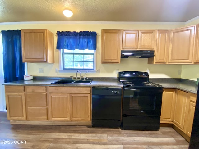 21522 Old Ritchey Rd, Granby, MO 64844 - kitchen featuring black appliances, under cabinet range hood, a sink, and light brown cabinetry