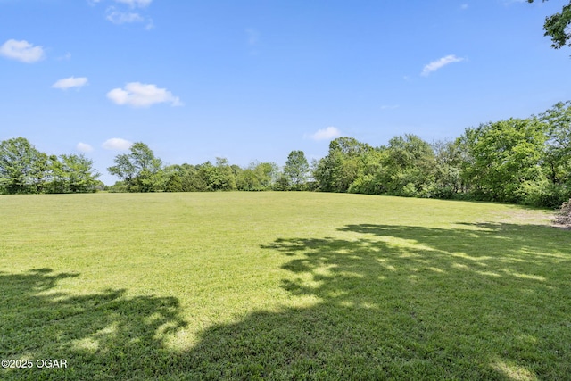 9969 Lawrence Unit 2222, Monett, MO 65708 - view of grassy yard