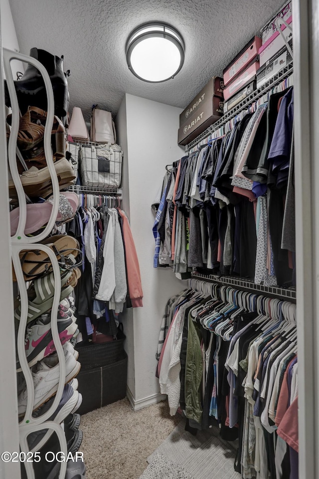 walk in closet with carpet