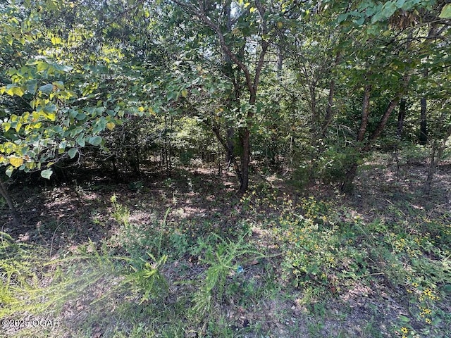 000 Whispering Pines Ln, Licking, MO 65542