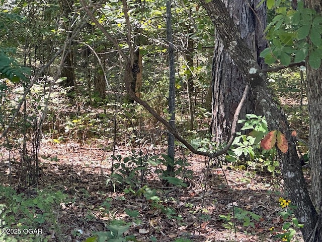 000 Whispering Pines Ln, Licking, MO 65542