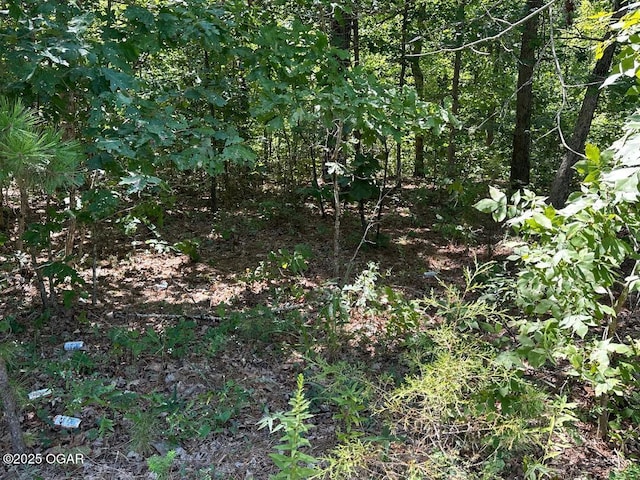 000 Whispering Pines Ln, Licking, MO 65542