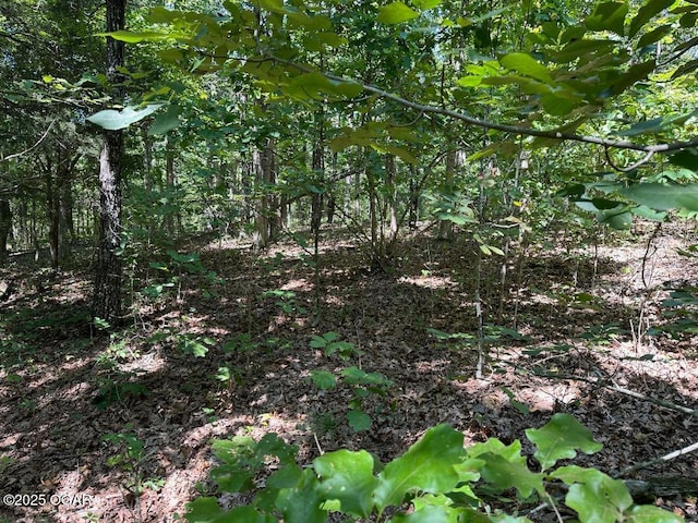 000 Whispering Pines Ln, Licking, MO 65542
