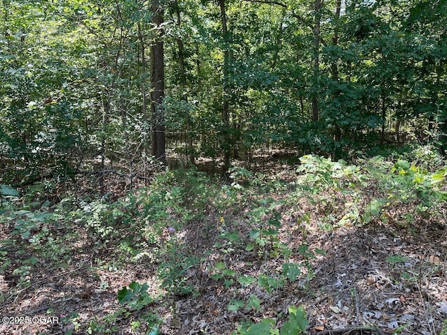 000 Whispering Pines Ln, Licking, MO 65542
