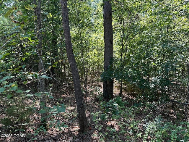 000 Whispering Pines Ln, Licking, MO 65542