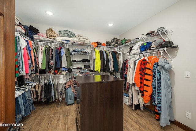 12244 County Rd 227, Oronogo, MO 64855 - walk in closet with wood finished floors