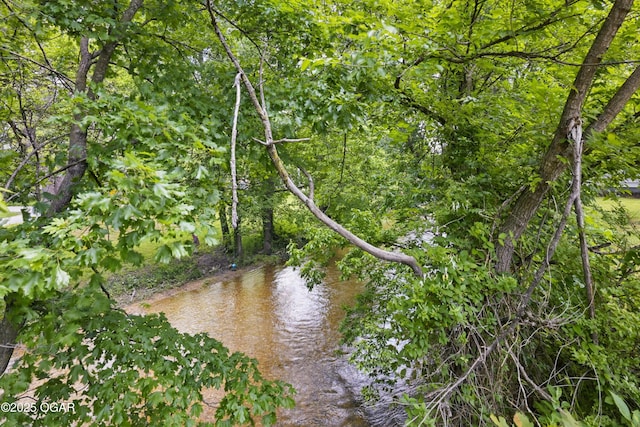 view of undeveloped land