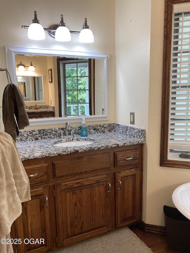 bathroom with vanity and wood finished floors