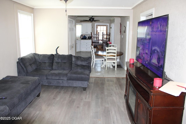 504 E Jackson St, Pittsburg, KS 66762 - living area featuring wood finished floors, a ceiling fan, and crown molding