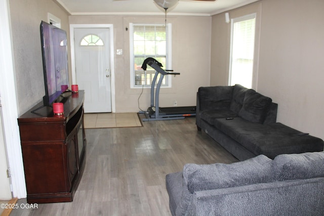 504 E Jackson St, Pittsburg, KS 66762 - living room with wood finished floors, ceiling fan, healthy amount of natural light, and crown molding