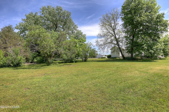 1712 E Broadway St, Joplin, MO 64801 - view of green lawn